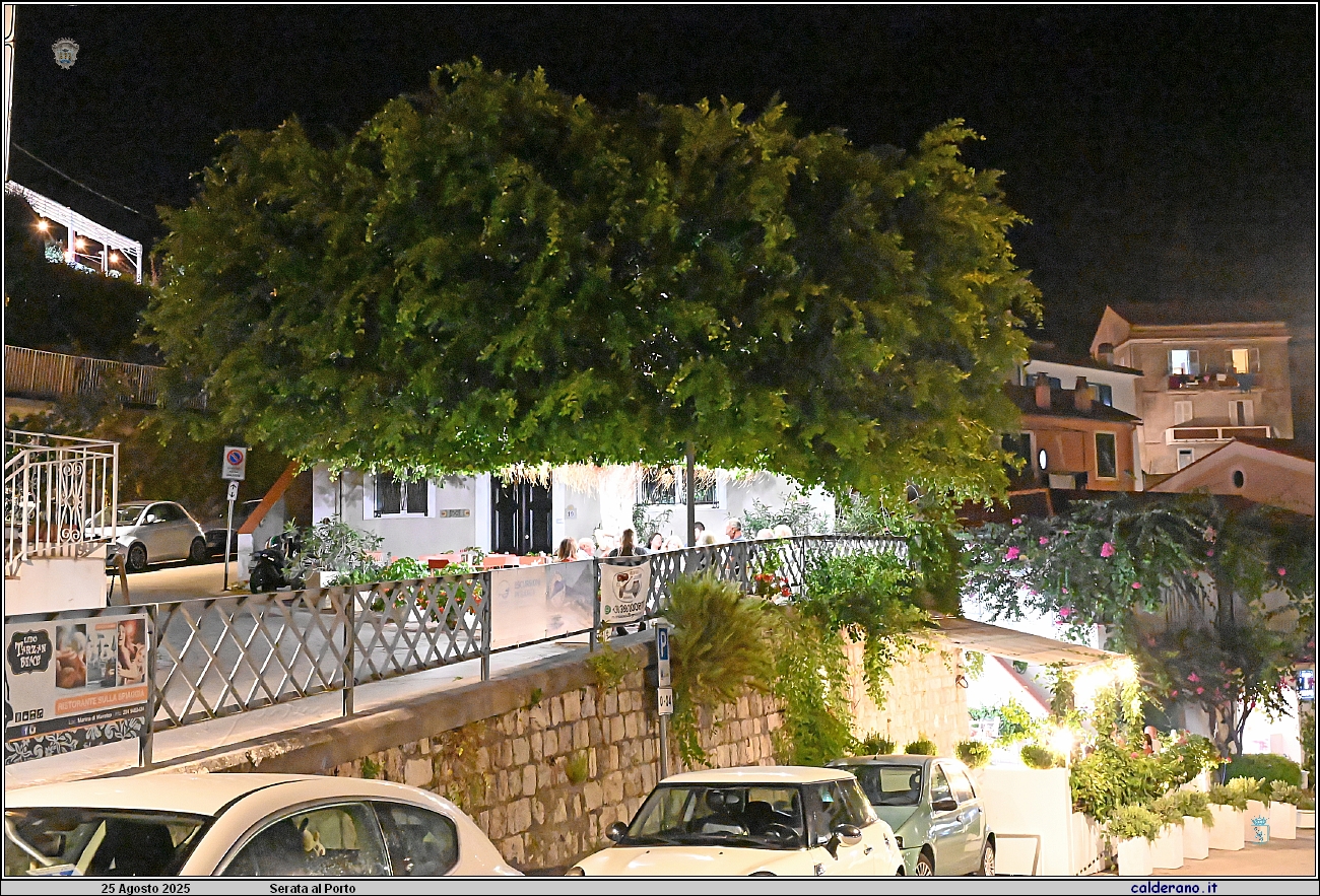 25M_0564.JPG