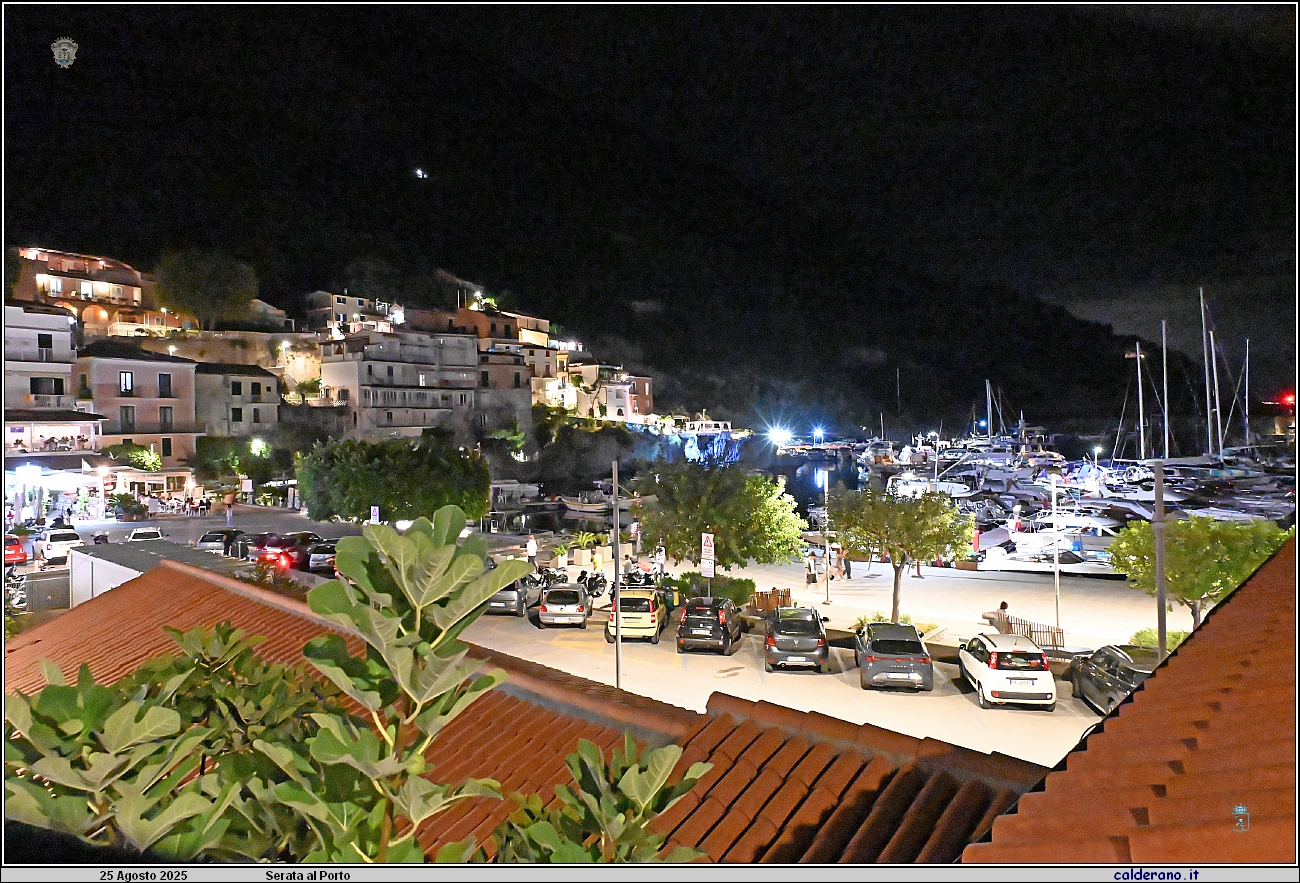 25M_0565.JPG