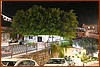 25M_0564.JPG