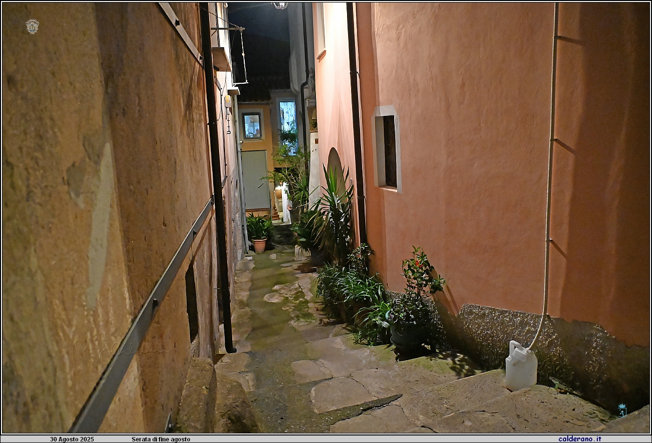 25M_1028.JPG