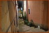 25M_1028.JPG