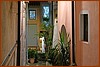25M_1030.JPG