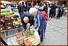 25R_2987.JPG