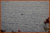 25R_3104.JPG