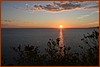 25R_3105.JPG