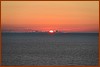 25R_3117.JPG