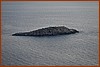 25R_3122.JPG
