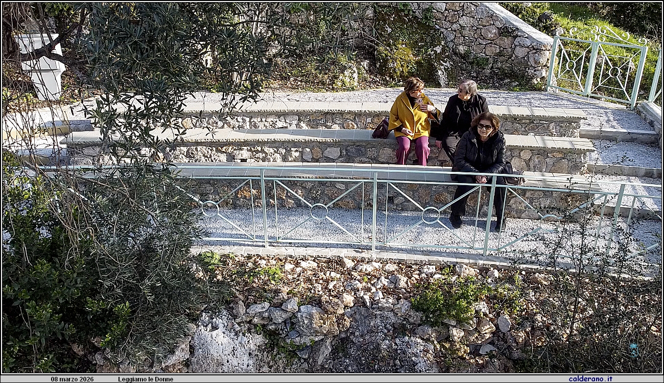 26C_6483 DJI_0273a.jpg