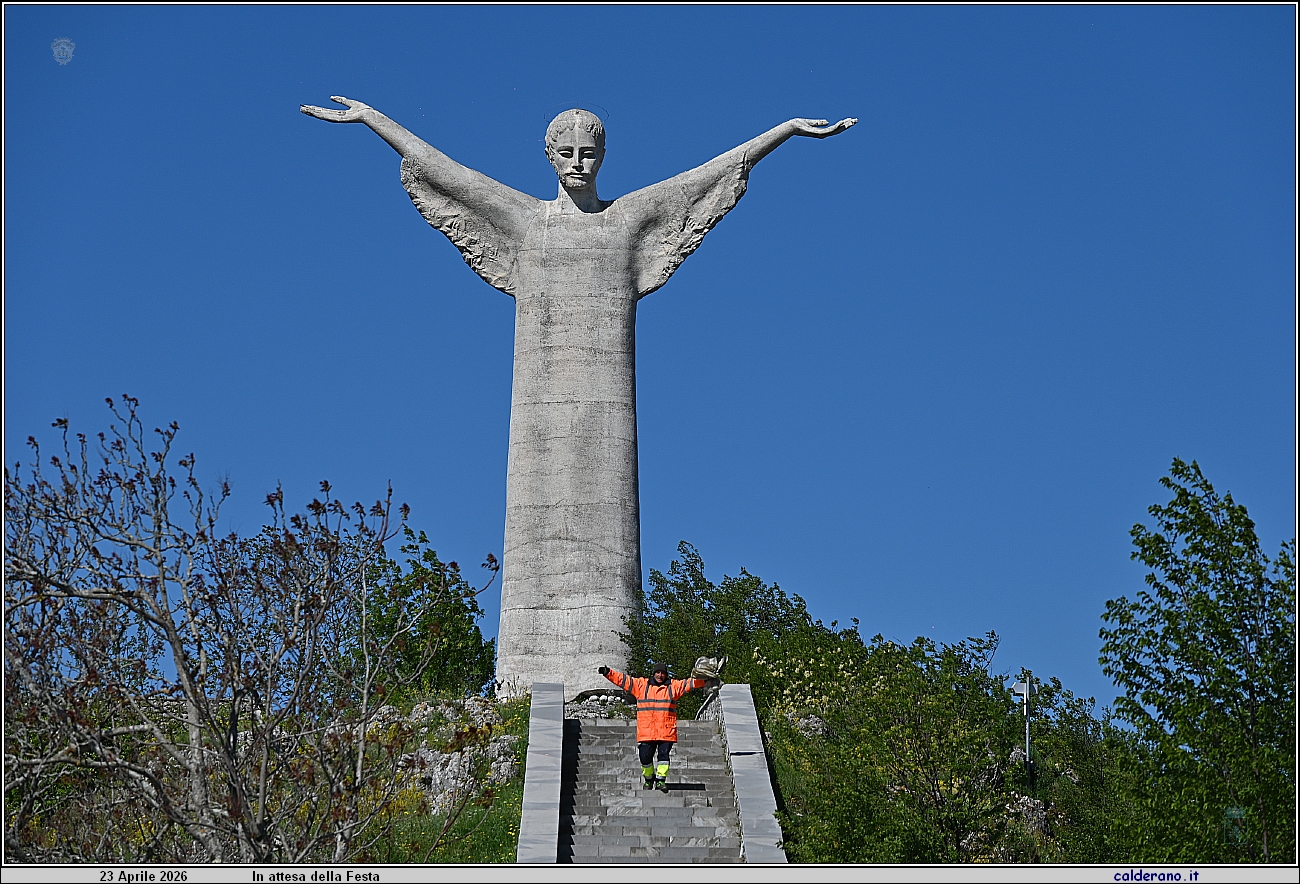 26D_7343.JPG