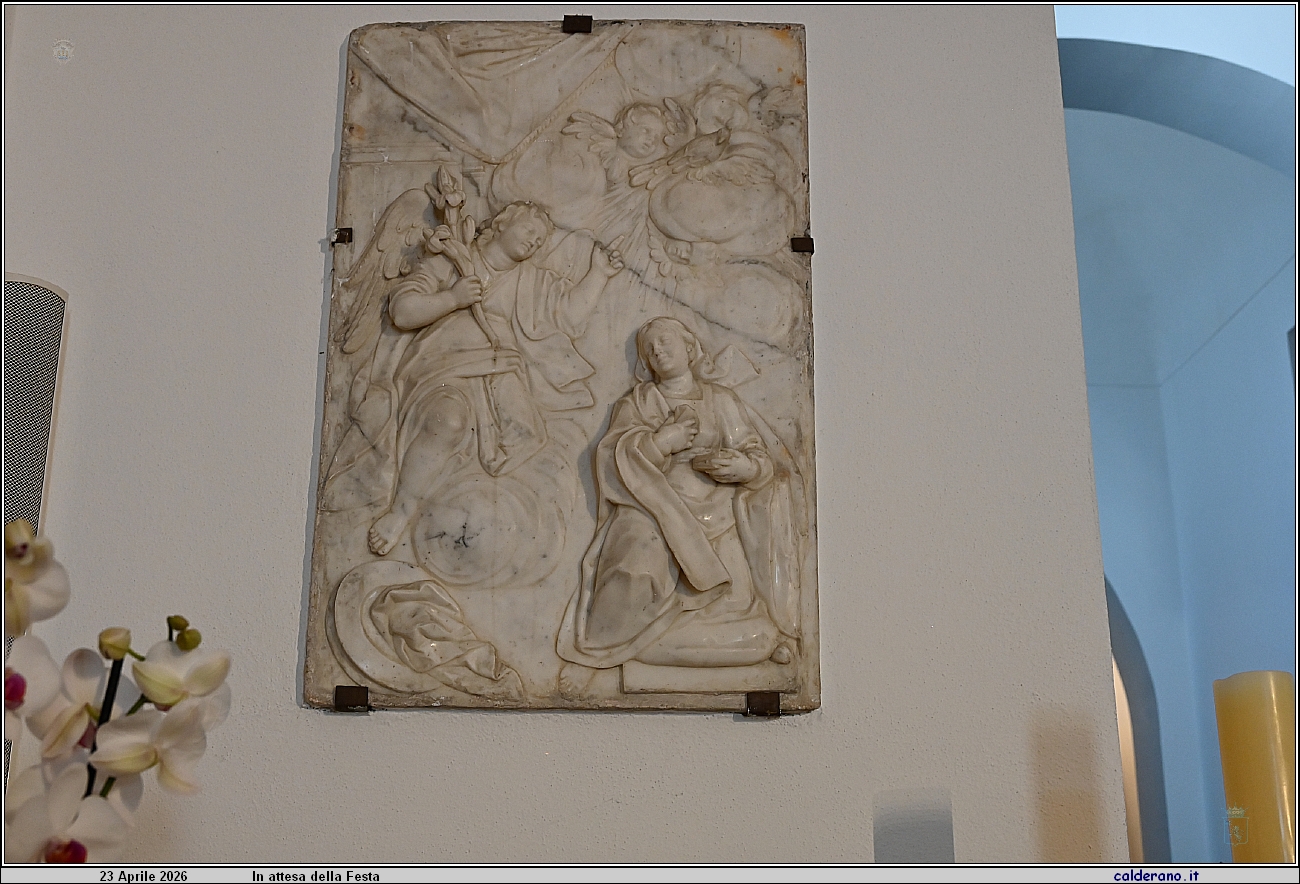 26D_7361.JPG