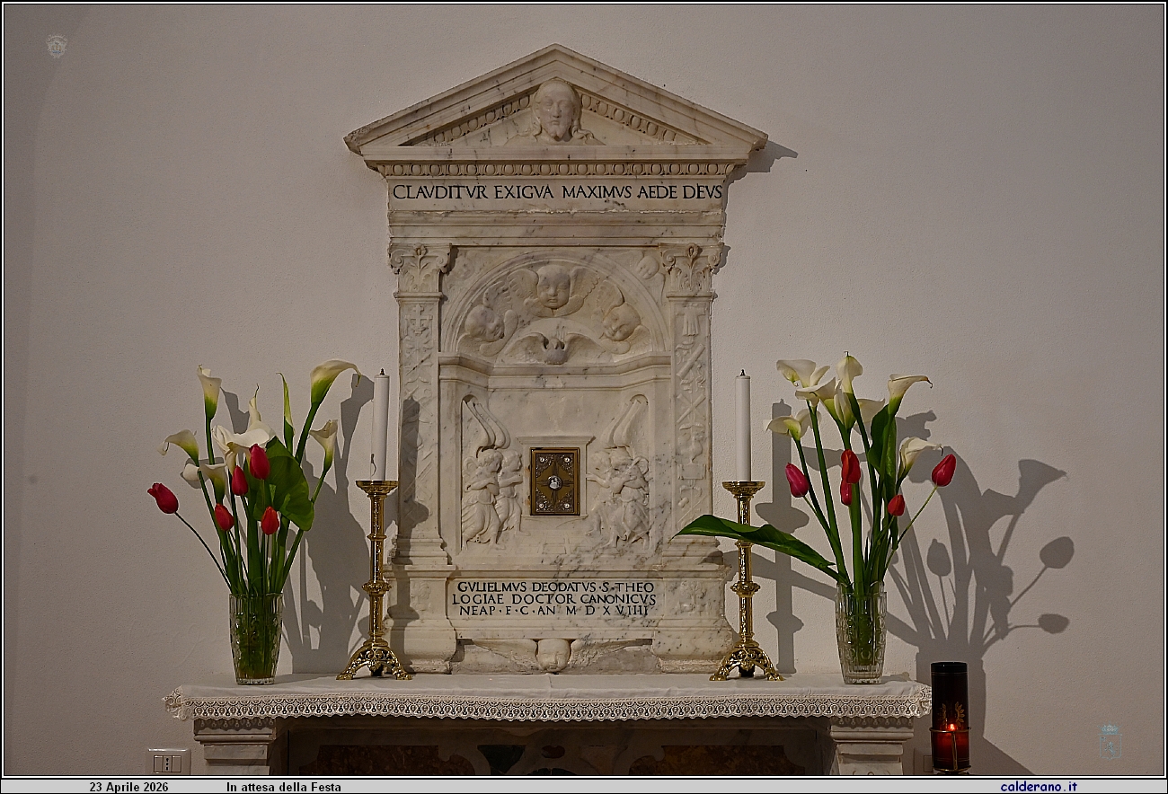 26D_7362.JPG