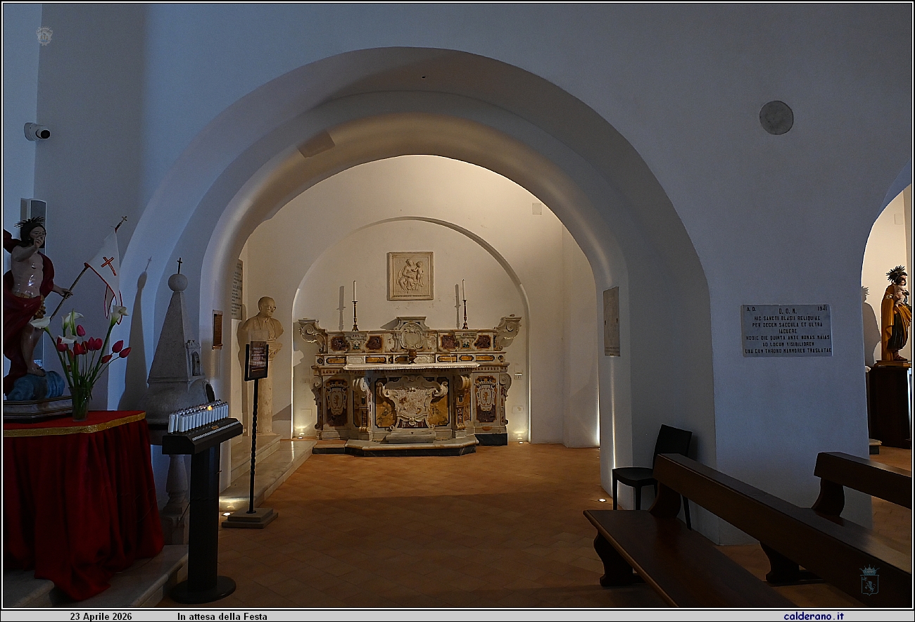 26D_7365.JPG