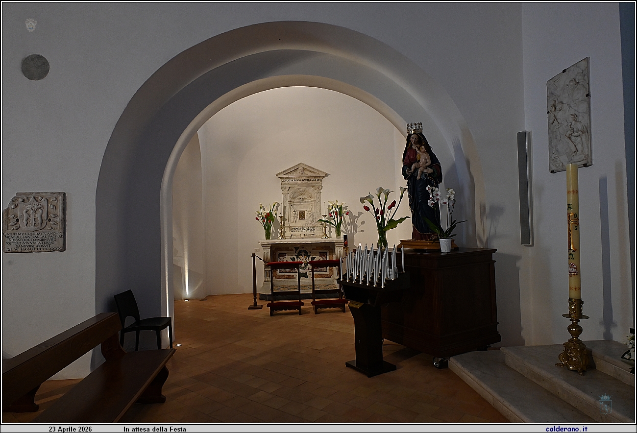 26D_7366.JPG