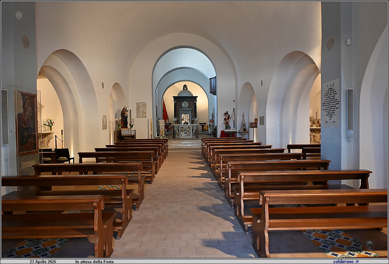 26D_7371.JPG