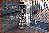 26D_7391.JPG
