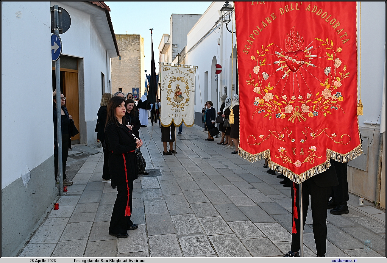 26D_7525.JPG