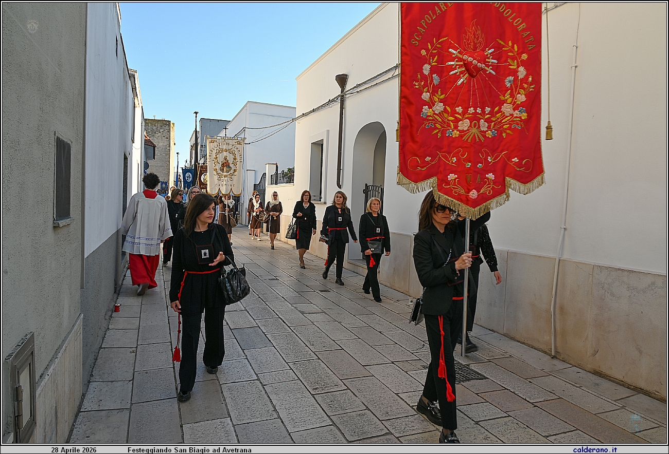 26D_7529.JPG