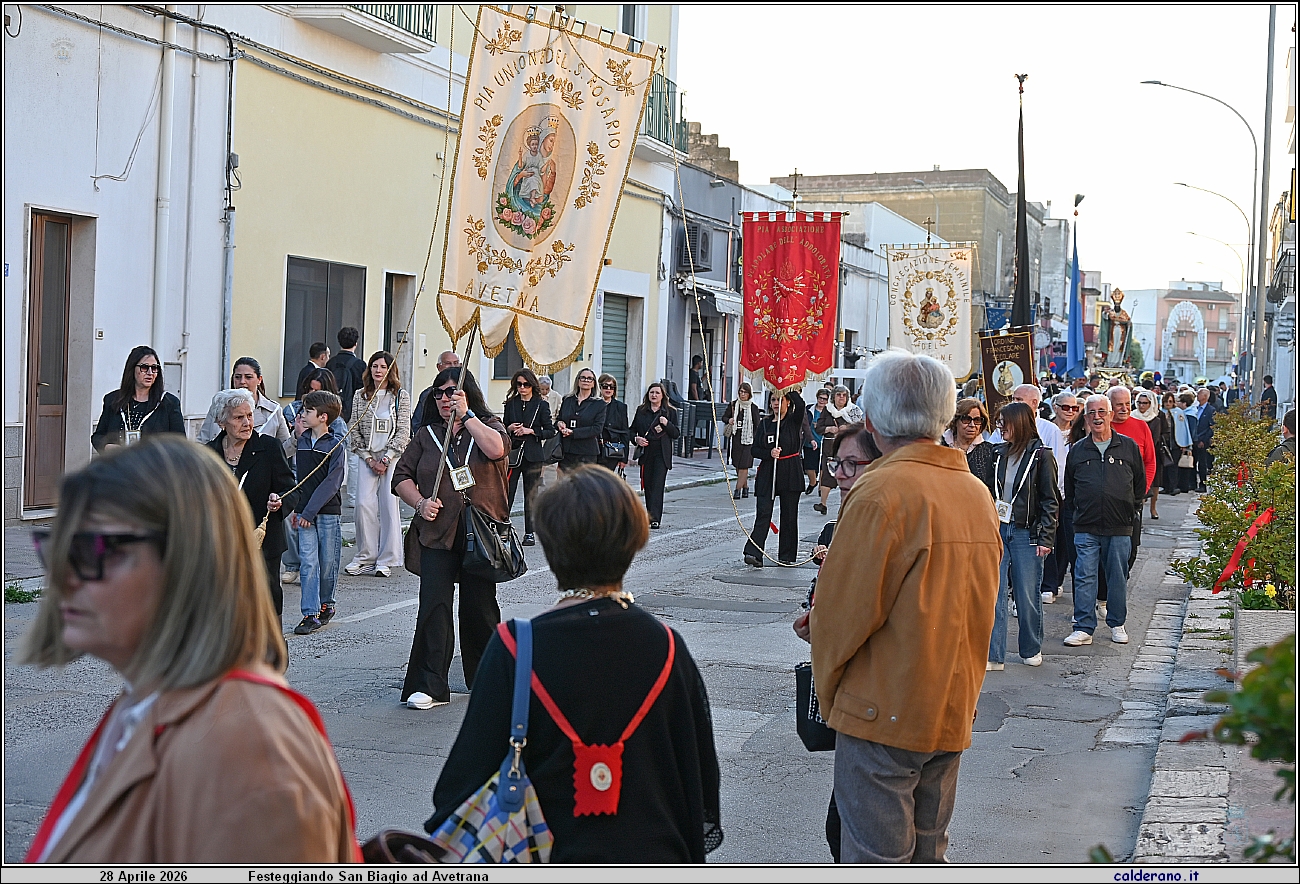 26D_7594.JPG