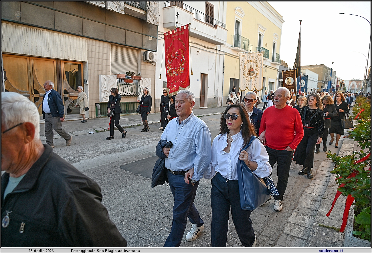 26D_7597.JPG