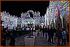 26D_7709.JPG