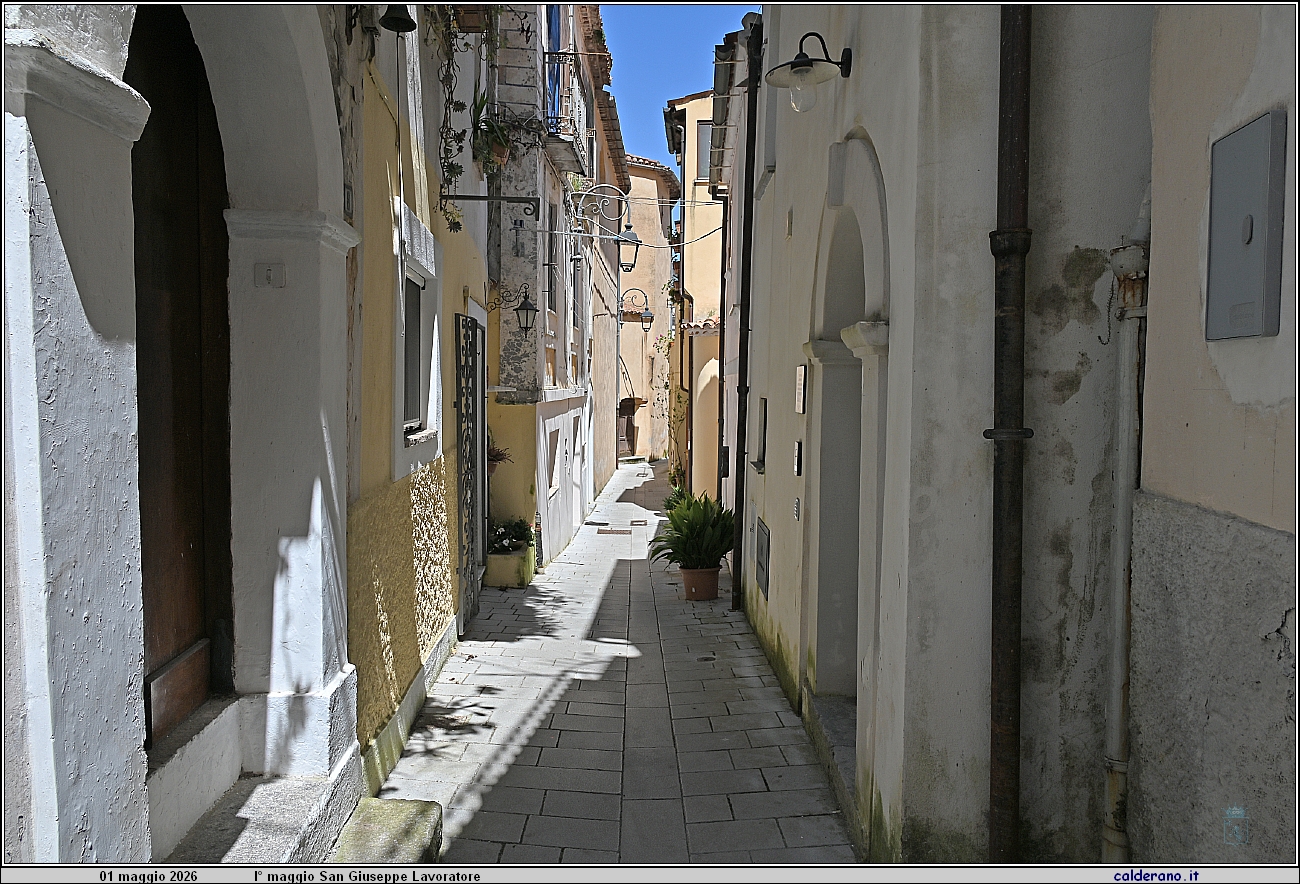 26E_7743.JPG