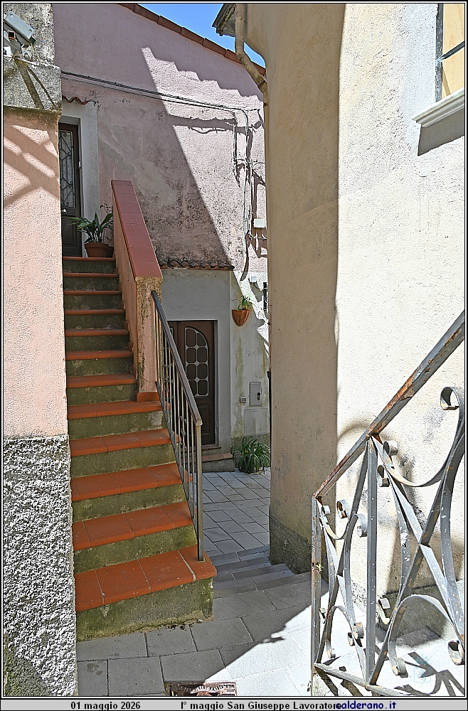 26E_7746.JPG