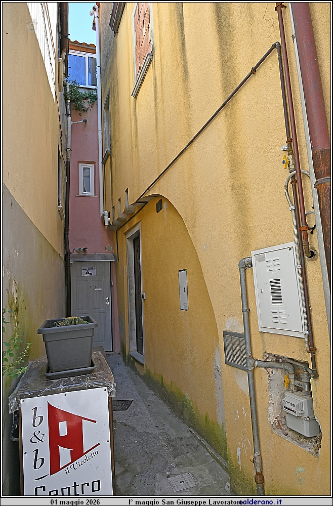 26E_7747.JPG
