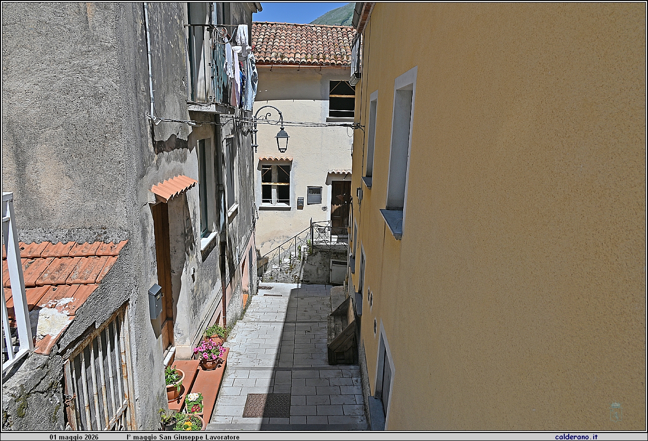 26E_7749.JPG