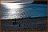 26E_7757.JPG