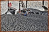 26E_7765.JPG