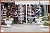 26E_8032.JPG