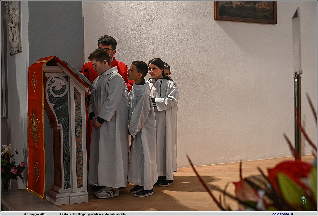 26E_8121.JPG