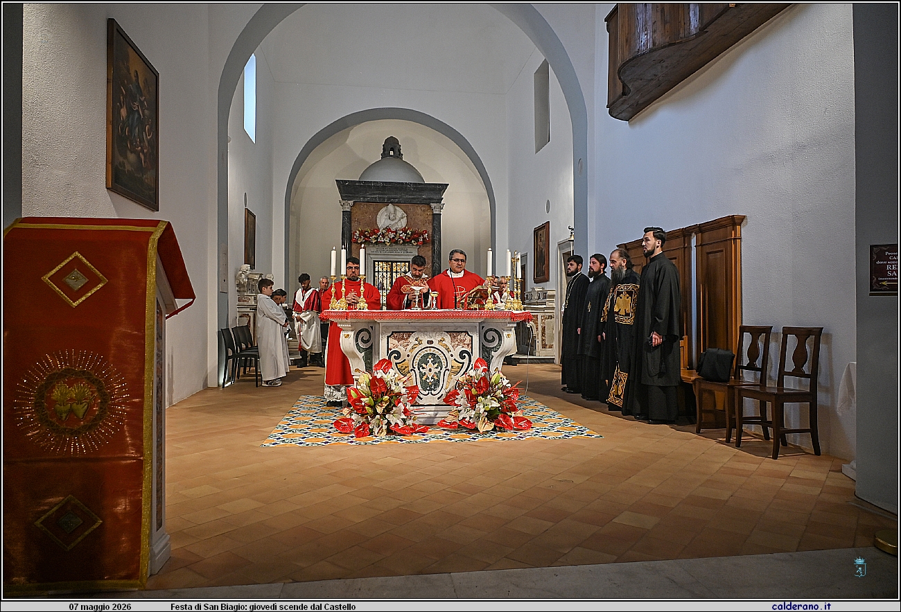 26E_8126.JPG