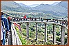 26E_8232.JPG