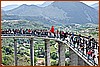 26E_8237.JPG