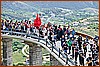 26E_8238.JPG