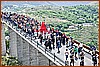 26E_8243.JPG