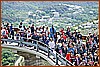 26E_8250.JPG