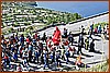 26E_8257.JPG