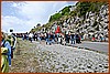 26E_8275.JPG