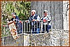 26E_8285.JPG