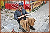 26E_8558.JPG