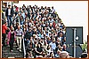 26E_8778.JPG
