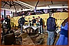 26E_9034.JPG