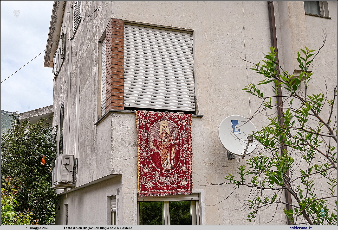 26E_9364.JPG
