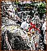 26E_9146a.jpg