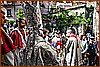 26E_9147.JPG