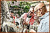 26E_9163.JPG