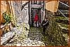 26E_9192.JPG