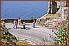 26E_9229.JPG